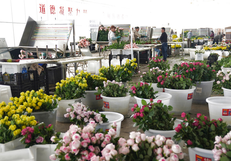 国产福利91精品一区二区三区