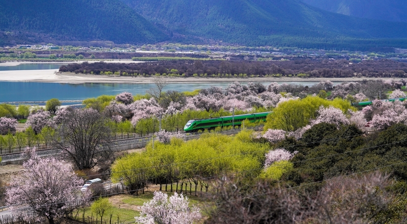 国产福利91精品一区二区三区