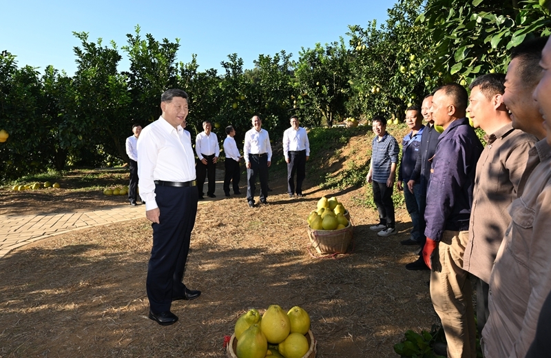 国产福利91精品一区二区三区